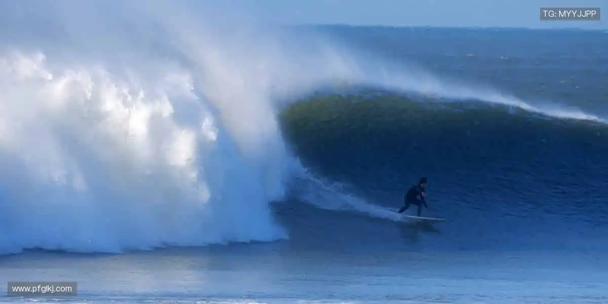 一键开播,不错过任何精彩瞬间⏰📱